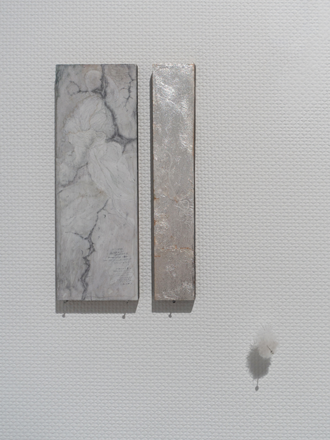 小林知世 Untitled 2025