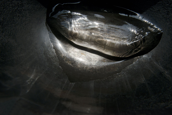 Misogi 2018-2019 Untitled