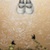Keep on believing(The Butterfly)